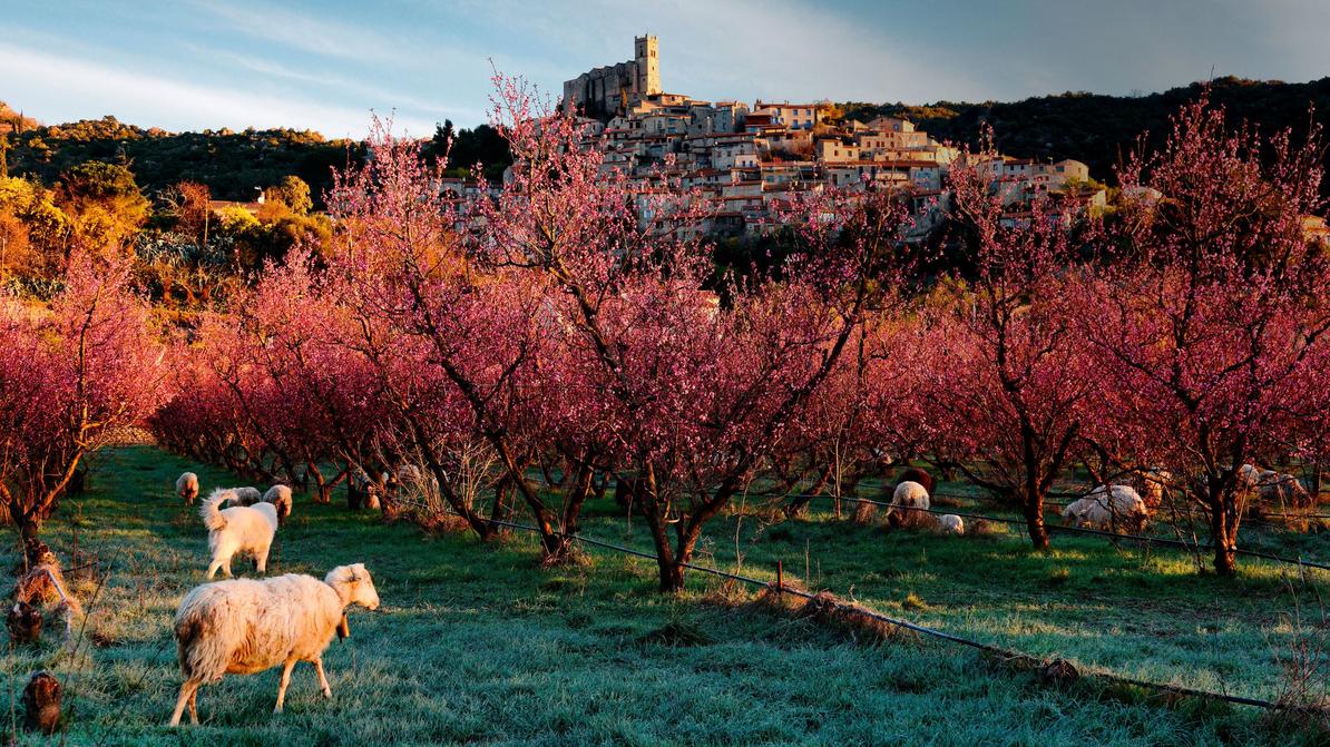 Destination Conflent, Mas Llossanes dans l'article du Figaro Magazine