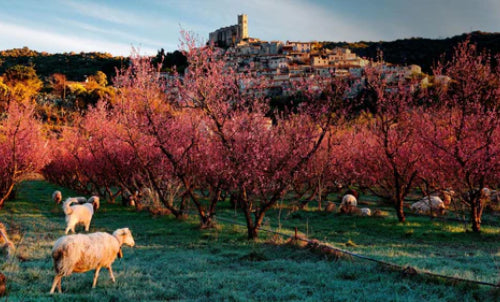 Destination Conflent, Mas Llossanes dans l'article du Figaro Magazine