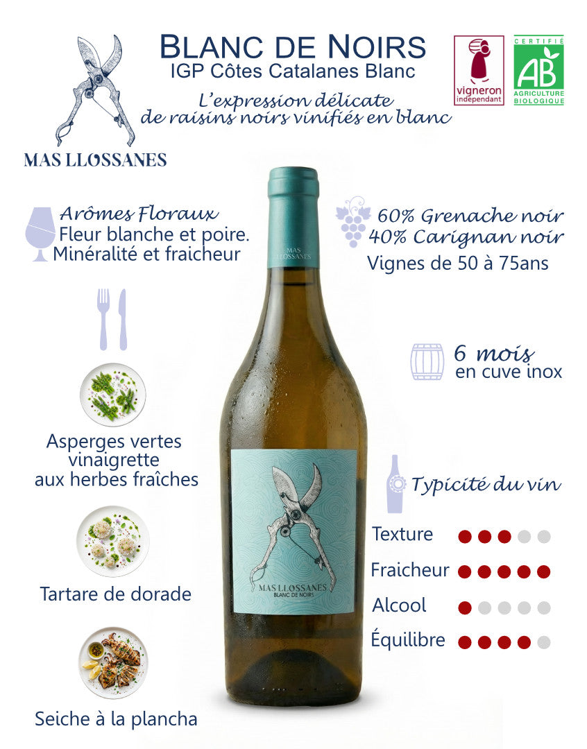 BLANC DE NOIRS 2025 - Vino Blanco de altura ecológico y biodinámico