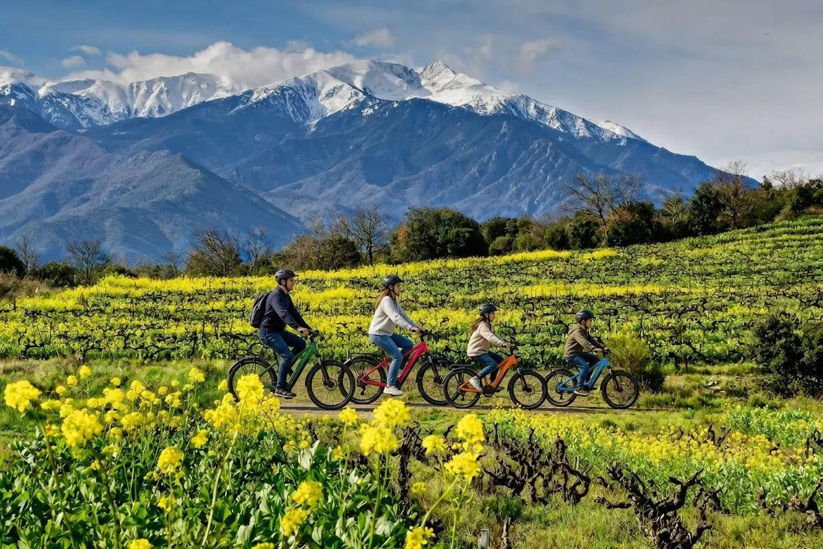 E-Bike & Wine Tour – Entre Canigou, patrimoine et vins d’altitude - Domaine Mas Llossanes
