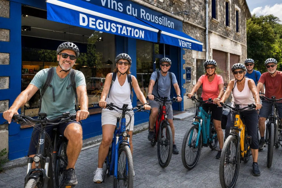 E-Bike & Wine Tour – Entre Canigou, patrimoine et vins d’altitude - Domaine Mas Llossanes