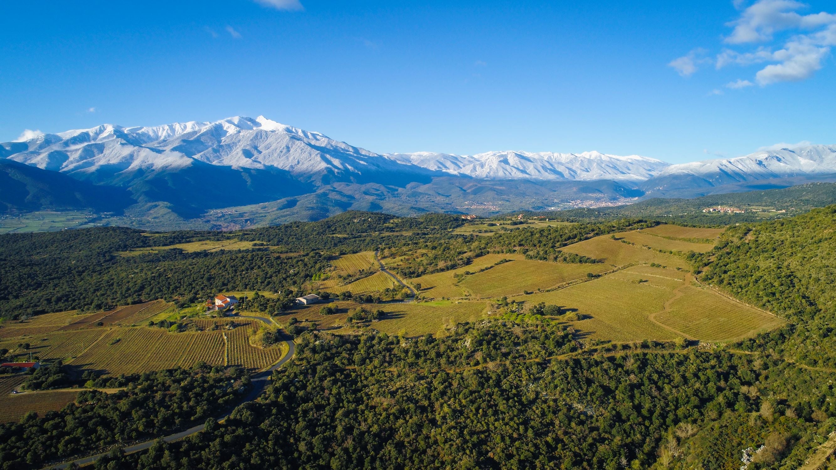 🗺️ 6 raisons de redécouvrir le Roussillon