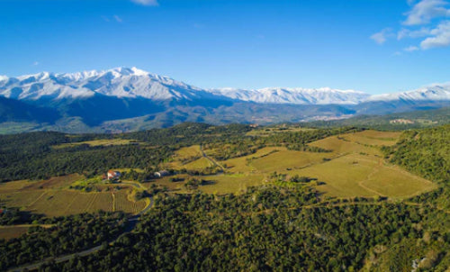 🗺️ 6 raisons de redécouvrir le Roussillon