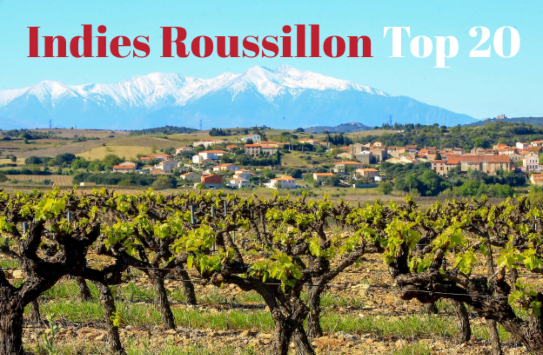 roussilon Top 20