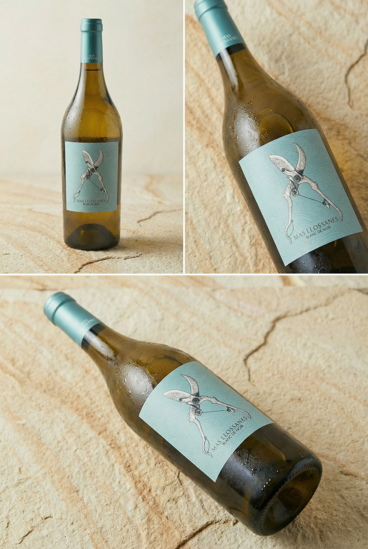 BLANC DE NOIRS 2025 – Weißwein aus Höhenlagen, biologisch & biodynamisch produziert