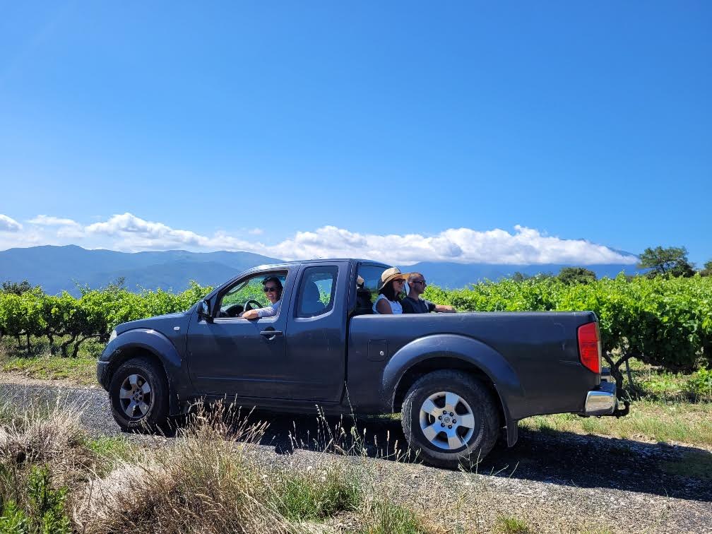 visite du vignoble en pickup